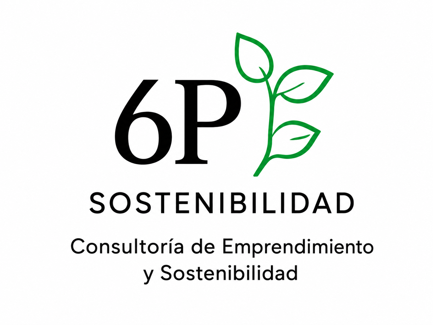 6P Sostenibilidad